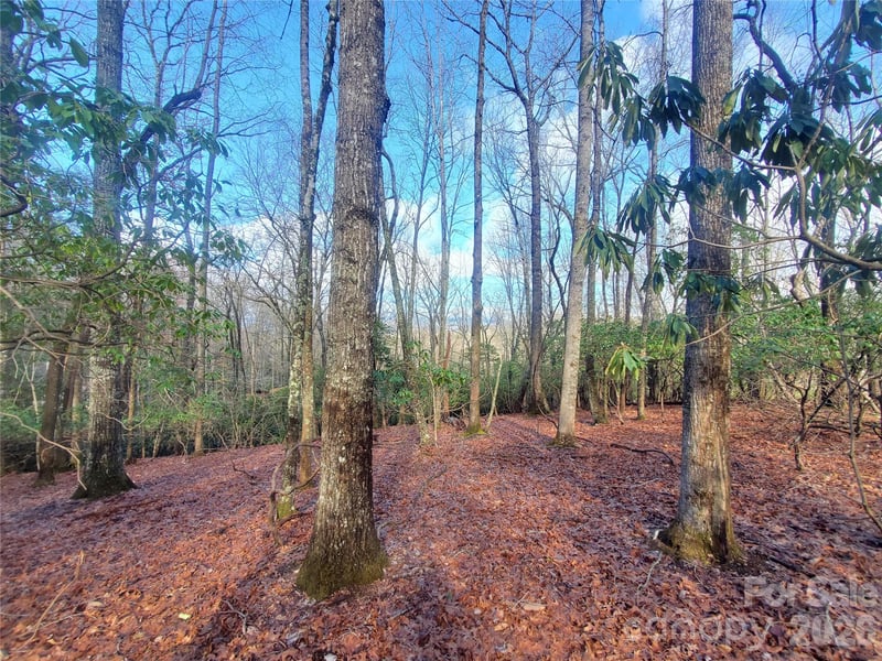 TBD Skye Dr #803a & 803b, Pisgah Forest, NC 28768