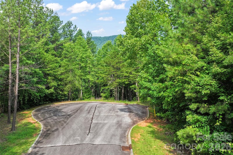 Lot 24 Monteith Pl, Mill Spring, NC 28756