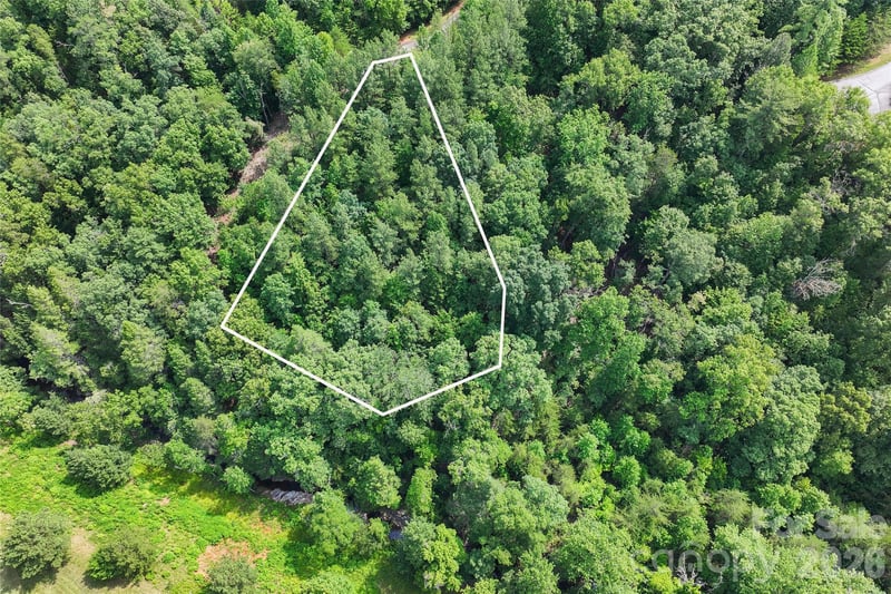 Lot 24 Monteith Pl, Mill Spring, NC 28756