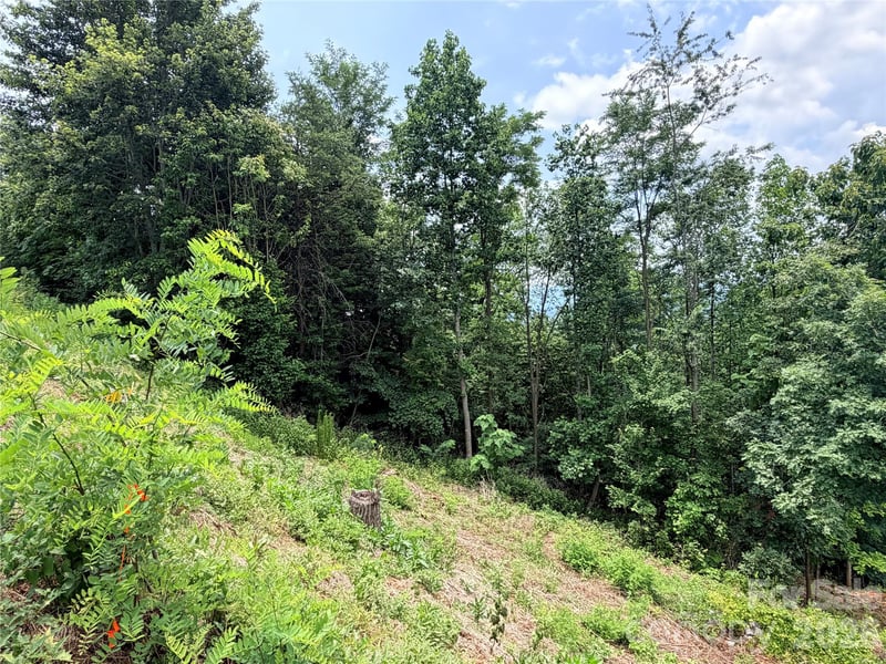 0 Golden Ridge Dr #133, Lake Lure, NC 28746