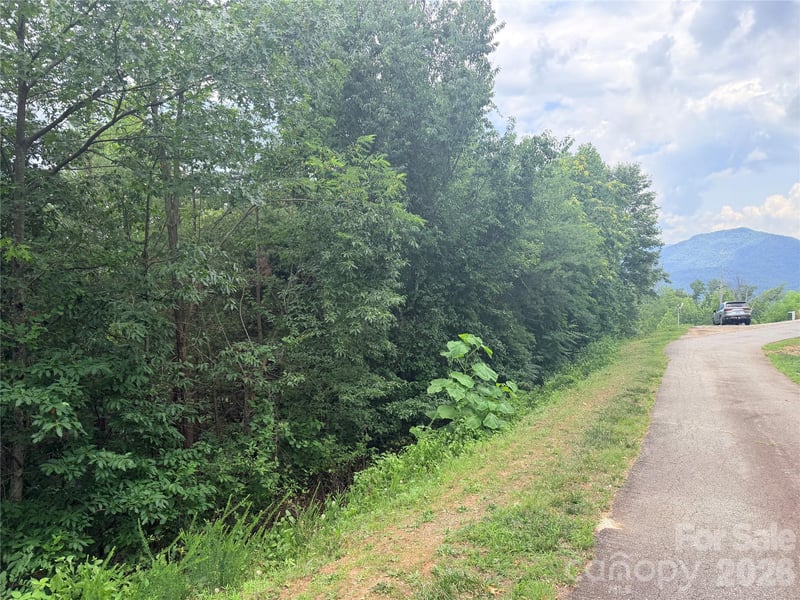 0 Golden Ridge Dr #133, Lake Lure, NC 28746