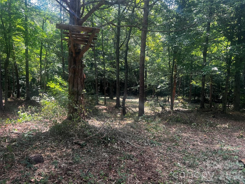 10376 Turnplow Dr #9, Davidson, NC 28036