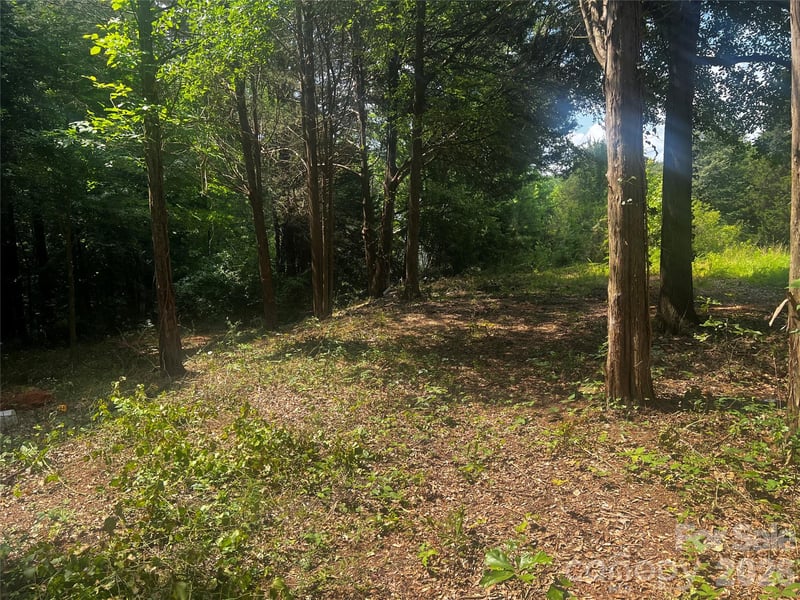 10376 Turnplow Dr #9, Davidson, NC 28036