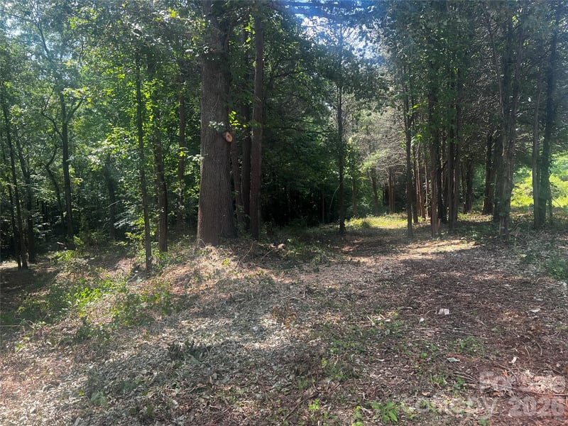 10376 Turnplow Dr #9, Davidson, NC 28036