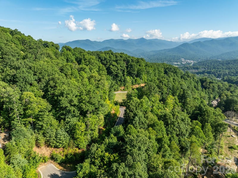 59 Old Greybeard Loop, Black Mountain, NC 28711