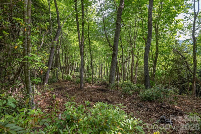 Lot 114R Toxaway Dr, Lake Toxaway, NC 28747