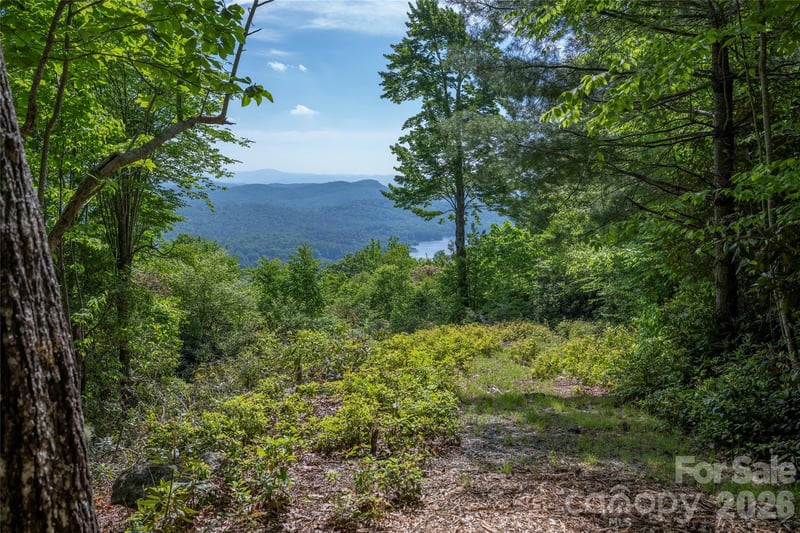 Lot 114R Toxaway Dr, Lake Toxaway, NC 28747