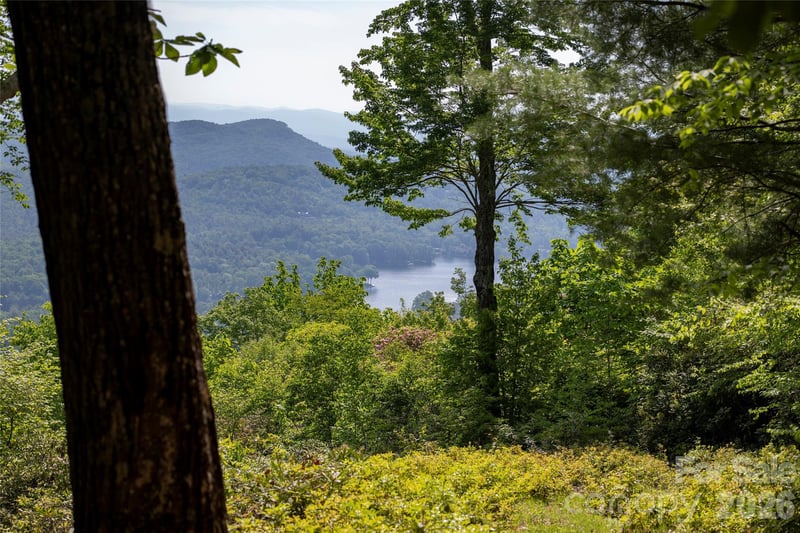 Lot 114R Toxaway Dr, Lake Toxaway, NC 28747
