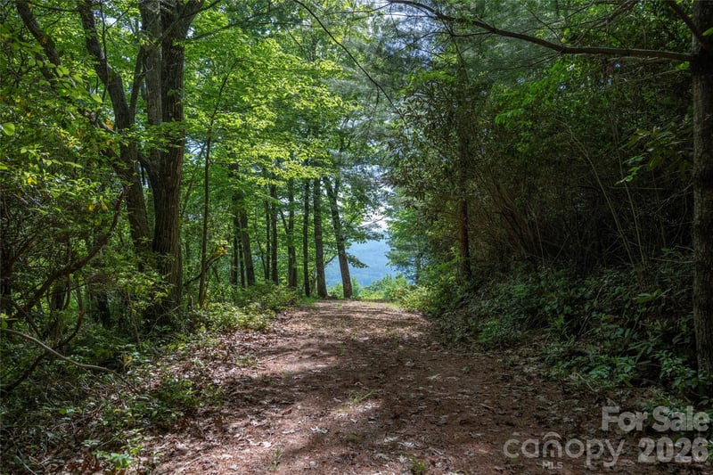 Lot 114R Toxaway Dr, Lake Toxaway, NC 28747