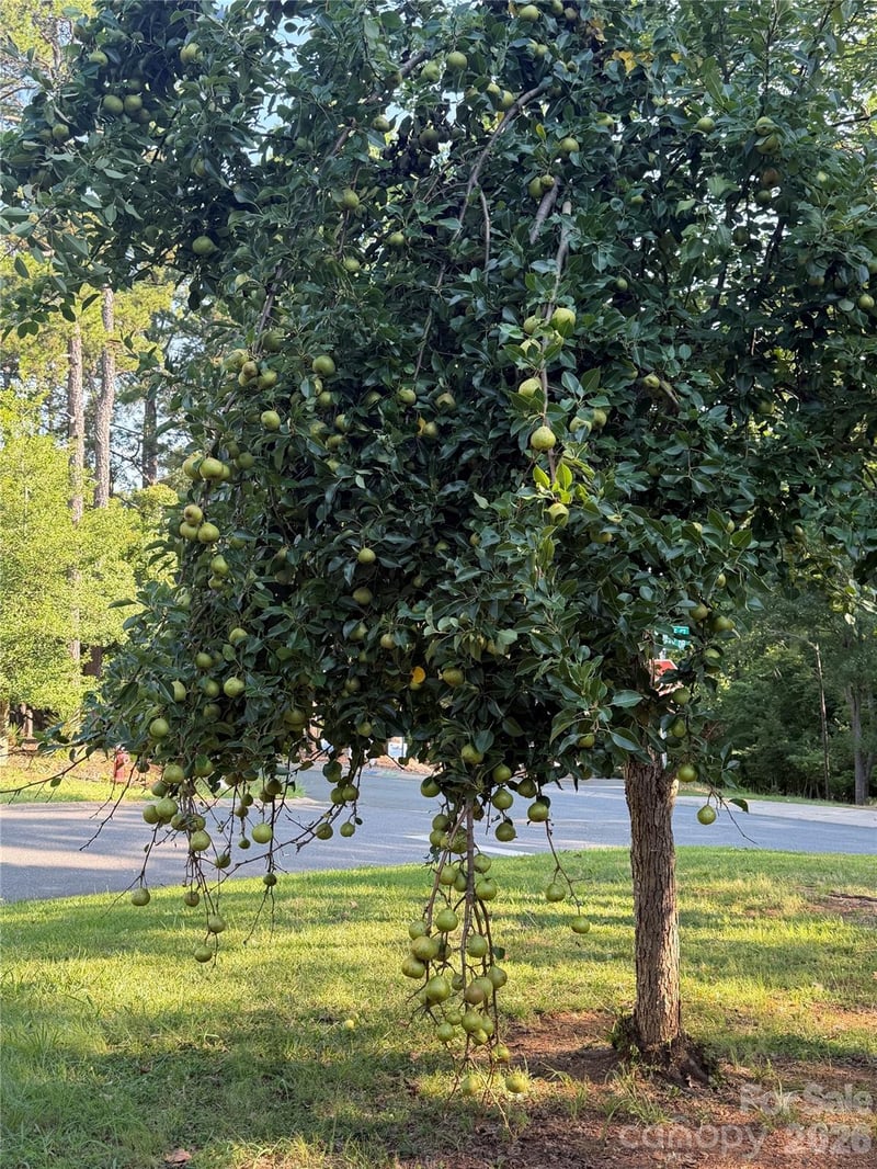 7037 Cambridge Ct, Tega Cay, SC 29708