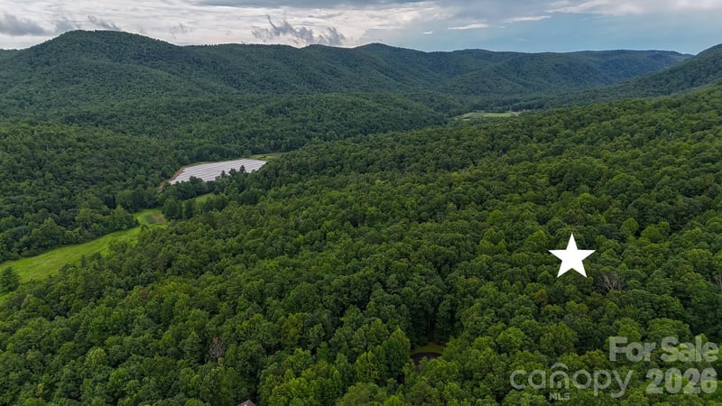 364 Big Bear Trl #24, Zirconia, NC 28790
