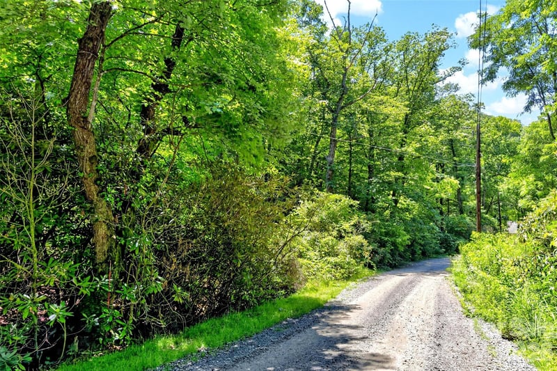 TBD Durham Ave, Black Mountain, NC 28711