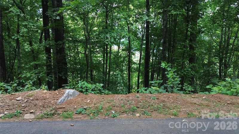 7 White Birch Ct, Black Mountain, NC 28711