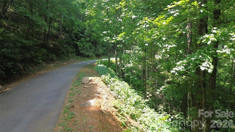 7 White Birch Ct, Black Mountain, NC 28711