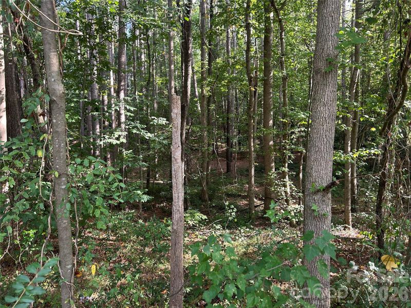 00 Knottywood Ln #25, Vale, NC 28168