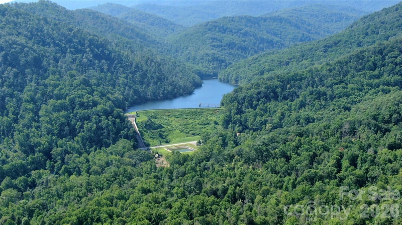 99999 Bee Tree Rd, Swannanoa, NC 28778