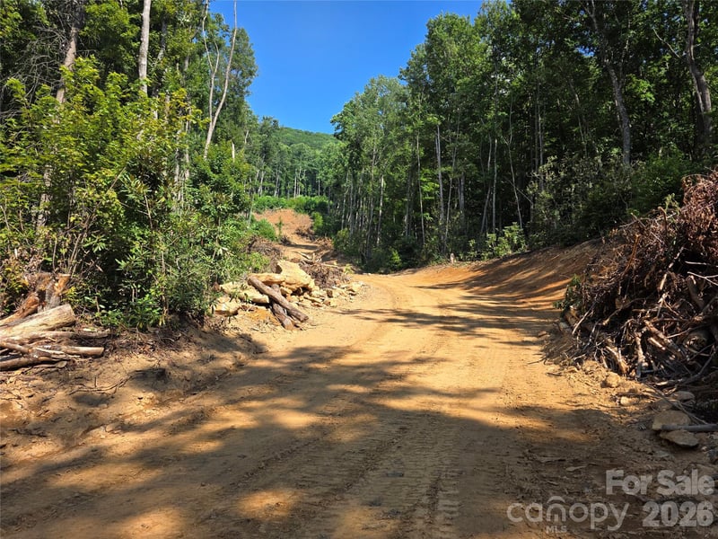99999 Bee Tree Rd, Swannanoa, NC 28778
