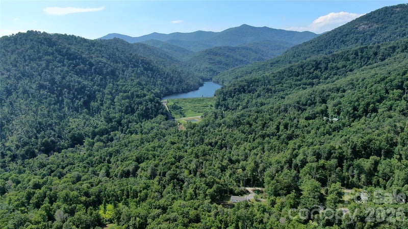 99999 Bee Tree Rd, Swannanoa, NC 28778