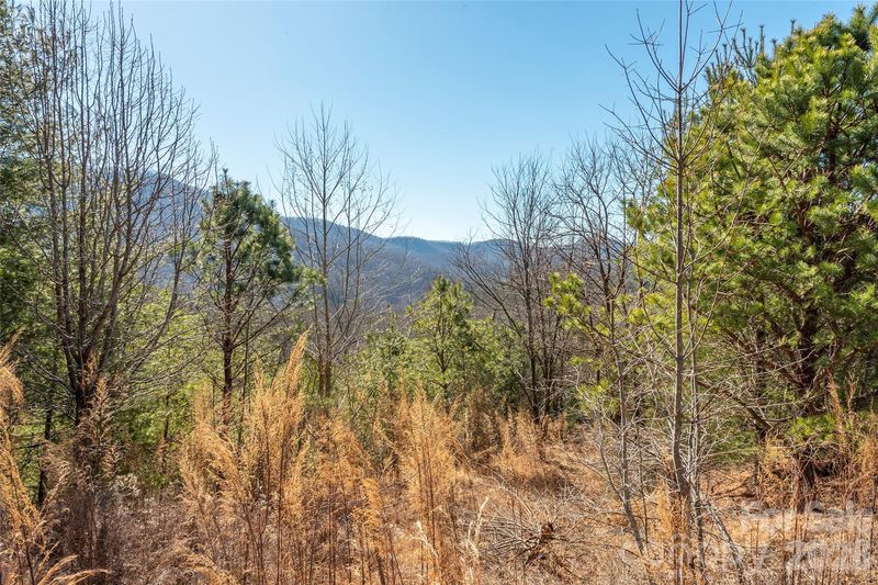 99999 Woodhen Way #138 & 139, Horse Shoe, NC 28742