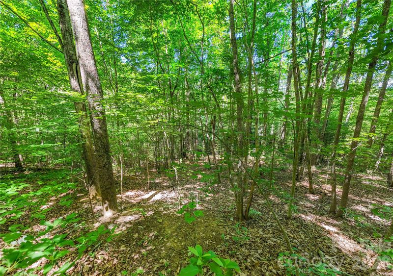 71 Timberwood Dr, Asheville, NC 28806