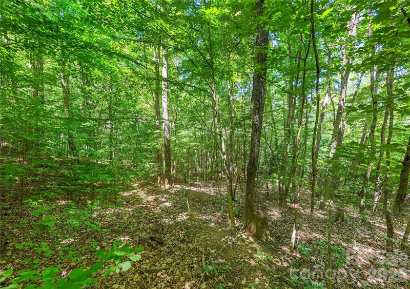 71 Timberwood Dr, Asheville, NC 28806