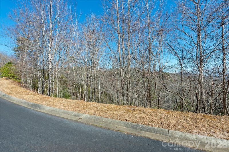 99999 Mills River Way #108, Horse Shoe, NC 28742