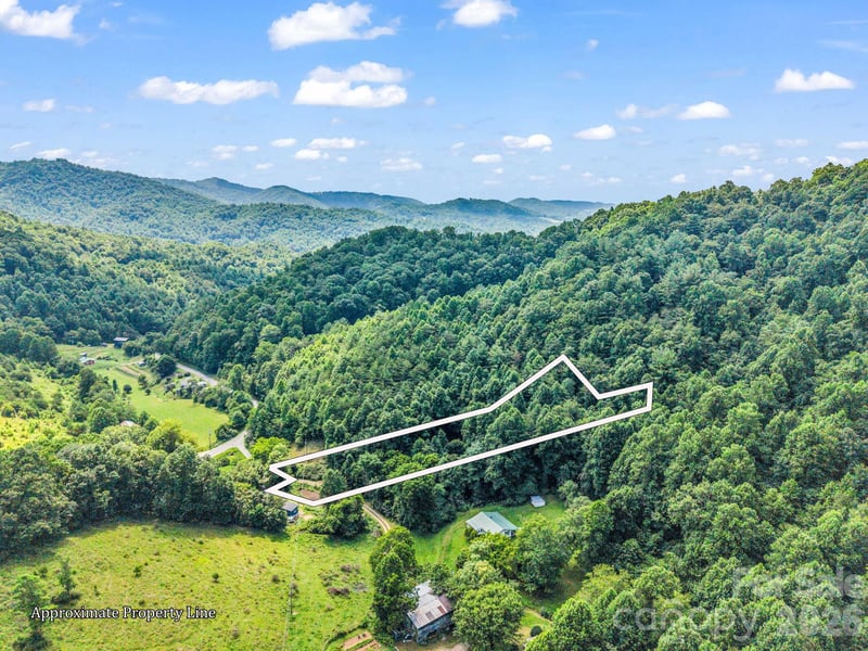 51 Orchard Park Dr, Marshall, NC 28753
