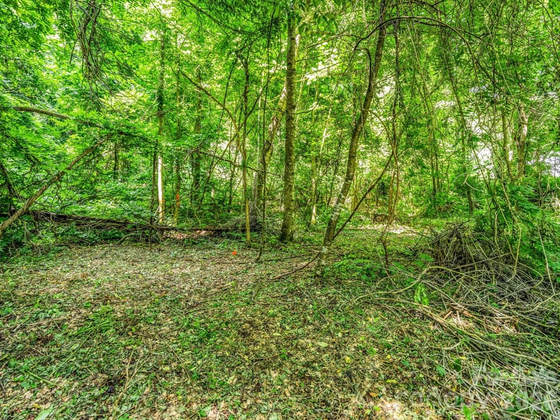51 Orchard Park Dr, Marshall, NC 28753