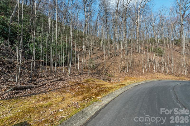 Lot 12 Shining Rock Pa, Horse Shoe, NC 28742