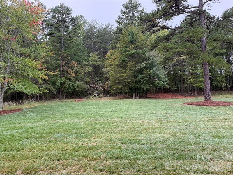 128 Willow View Loop #2, Davidson, NC 28036