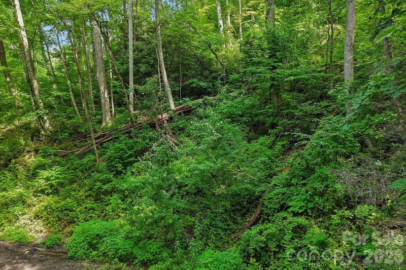 TBD Indian Falls Rd, Asheville, NC 28803