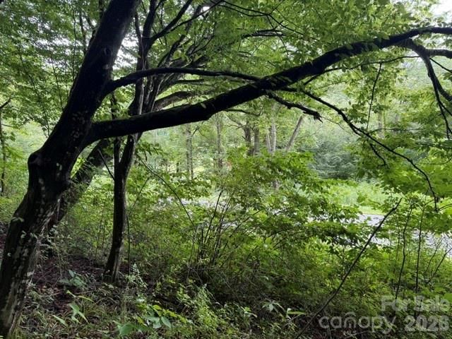 TBD Meadow Fork Rd, Hot Springs, NC 28743