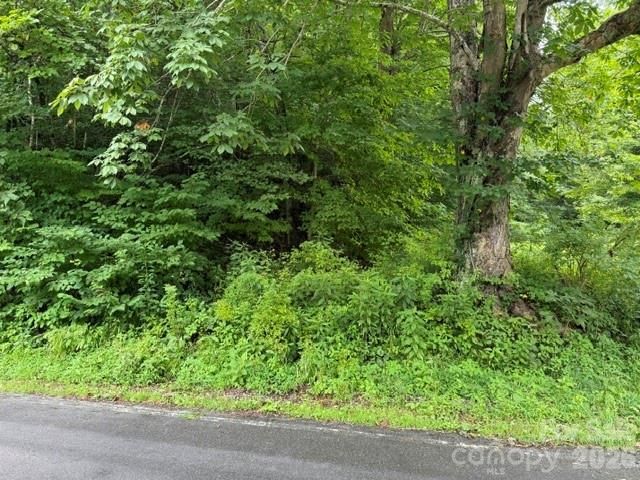 TBD Meadow Fork Rd, Hot Springs, NC 28743