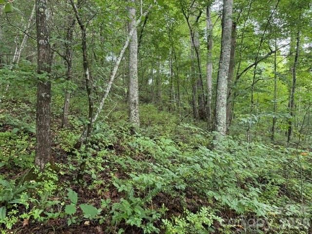 TBD Meadow Fork Rd, Hot Springs, NC 28743