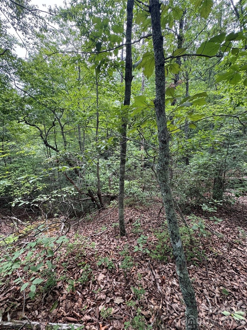 0 Raven Blvd, Lake Lure, NC 28746
