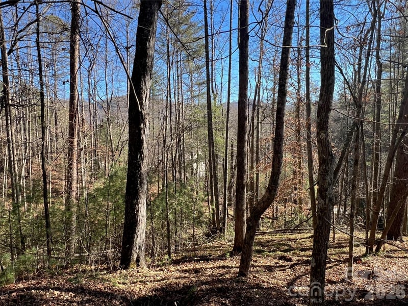 147 Falling Leaves Ln, Hendersonville, NC 28792