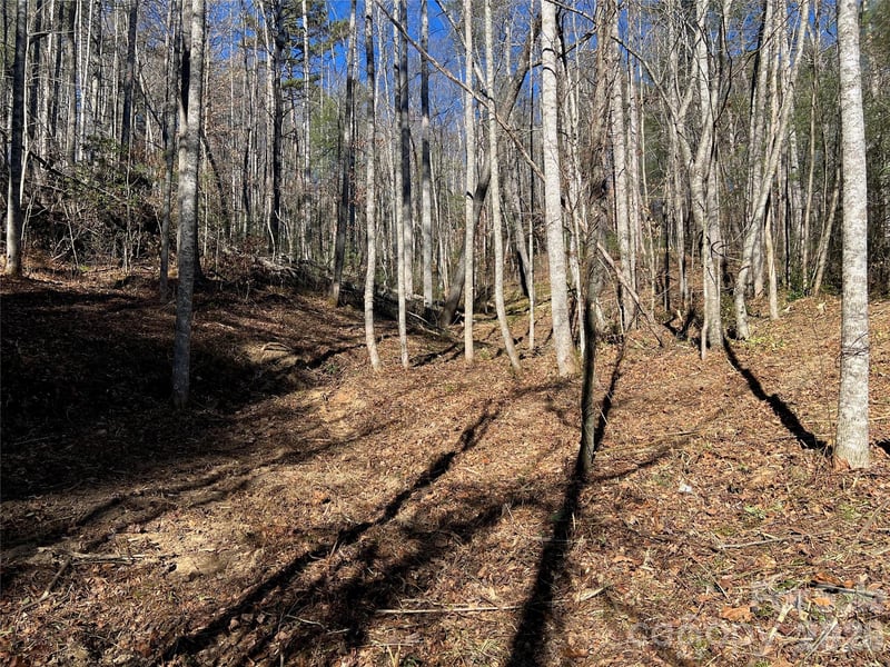 181 Falling Leaves Ln, Hendersonville, NC 28792