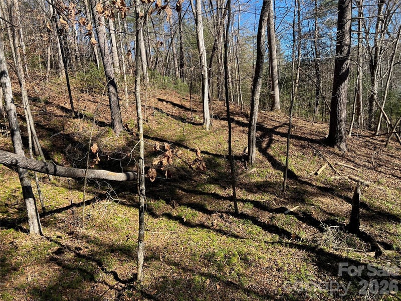 181 Falling Leaves Ln, Hendersonville, NC 28792