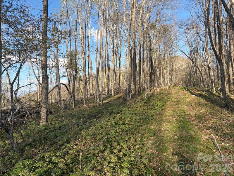 000 Catbrier Ln, Burnsville, NC 28714