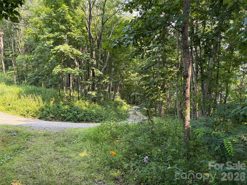 000 Catbrier Ln, Burnsville, NC 28714