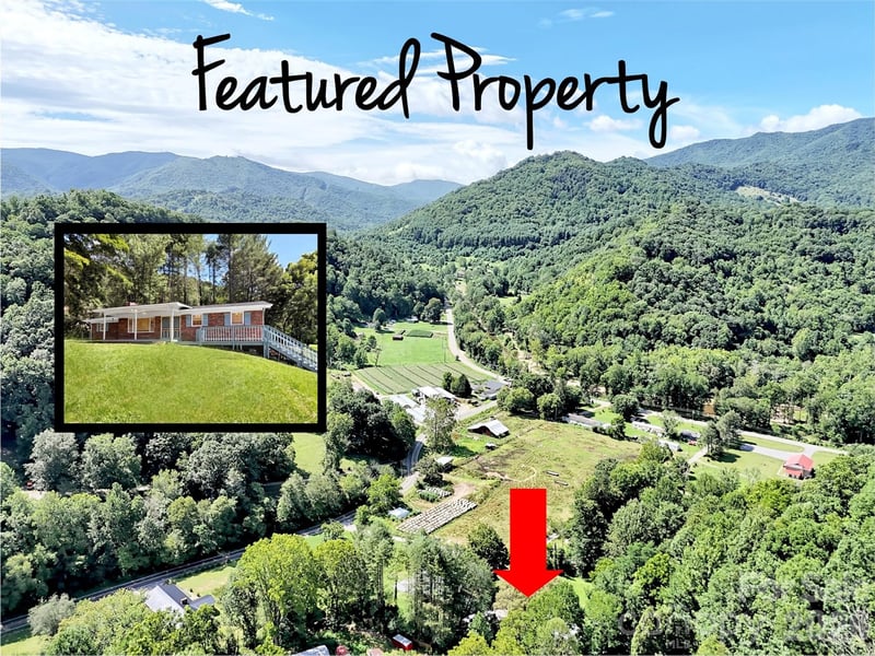 70 Iris Ln, Canton, NC 28716