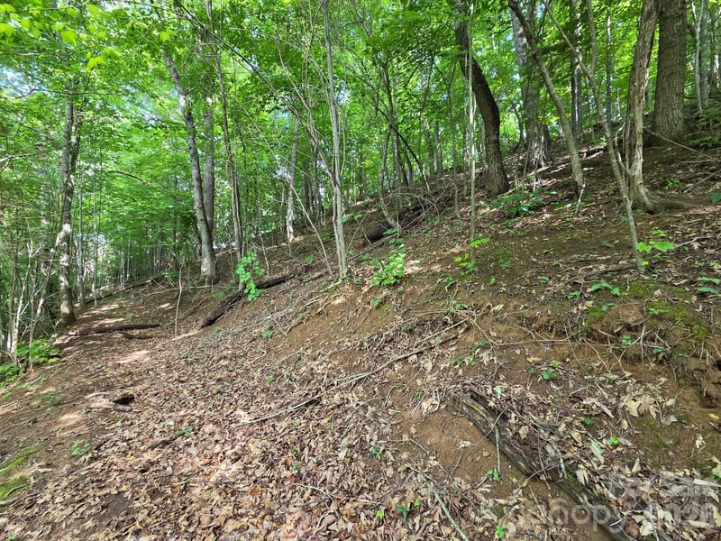 TBD Grandview Cliff Hts, Waynesville, NC 28751