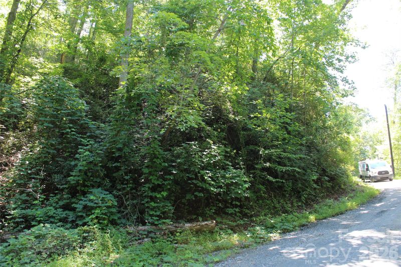 00 Sparrows Way, Lake Lure, NC 28746