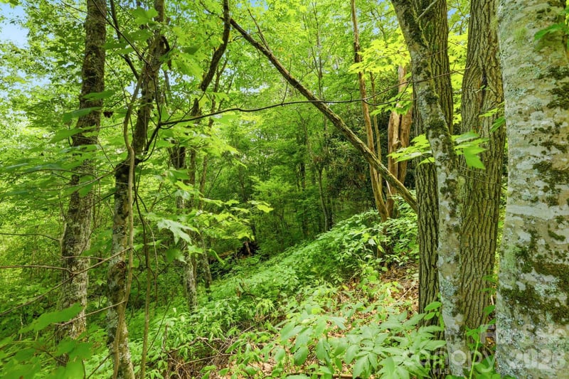 0 Bent Oak Dr #6, Waynesville, NC 28786
