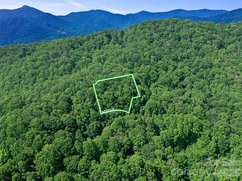 0 Lotties Creek Rd, Burnsville, NC 28714
