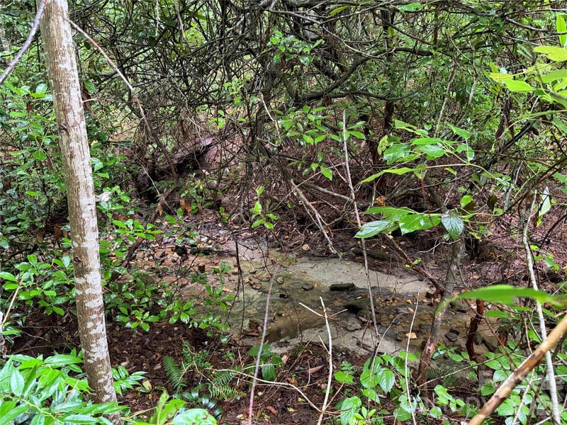 Off Donald Mccall Rd, Balsam Grove, NC 28708