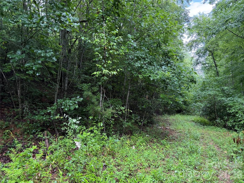 Off Donald Mccall Rd, Balsam Grove, NC 28708