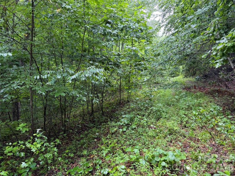 Off Donald Mccall Rd, Balsam Grove, NC 28708