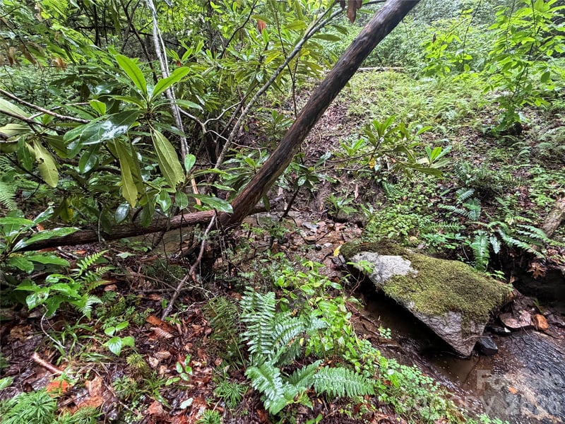 Off Donald Mccall Rd, Balsam Grove, NC 28708