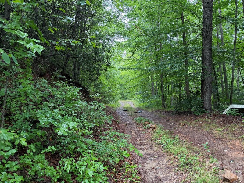 Off Donald Mccall Rd, Balsam Grove, NC 28708